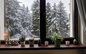 Pine Tree Apartment / Borovets Gardens
